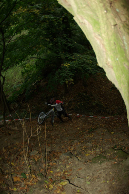 IMGP2176