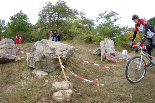 IMGP2335