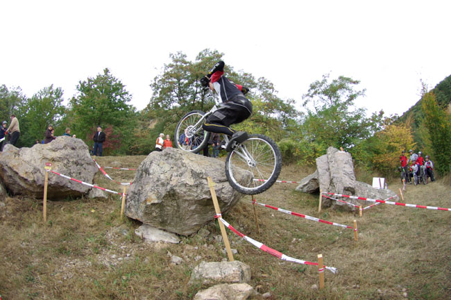 IMGP2338