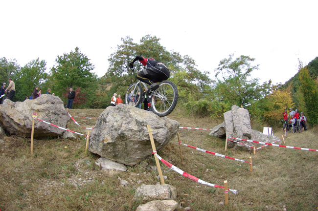 IMGP2339