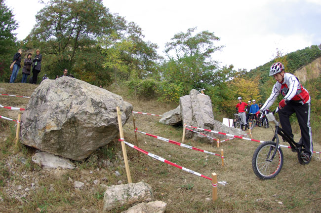 IMGP2378