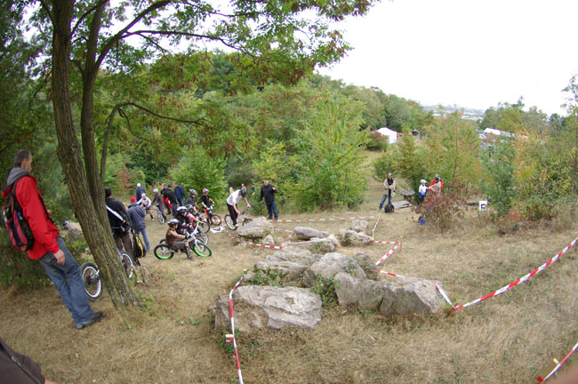 IMGP2394