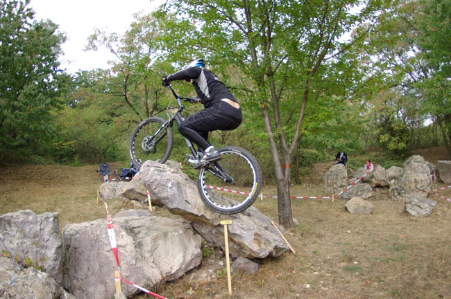 IMGP2419