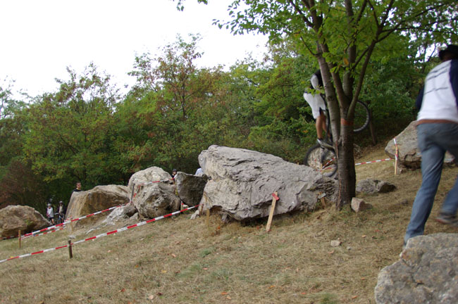 IMGP2440