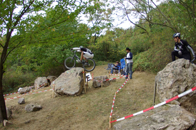 IMGP2441